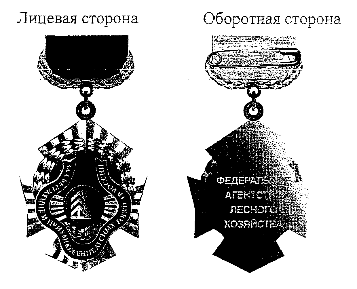 Ведомственные знаки отличия. Знак за сбережение и приумножение лесных богатств. Ведомственные знаки различия. Знаки различия в Лесном хозяйстве России.